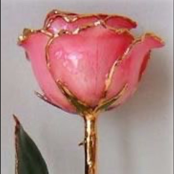 Sweet 16 Pink Valentines Day 24KT Gold Dipped Rose - Picture 2 of 2